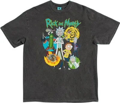 Image de Rick And Morty - T-shirt unie homme/femme, délavage vintage TT994 (M) (Charbon de bois)