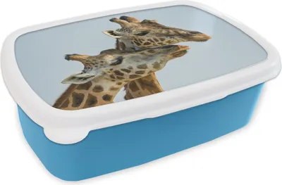 Produktbild von KitchenYeah® Lunchbox Brotzeit Brotdose 17x11 cm Giraffen - Tiere - Himmel Kinder Brotzeitdose - Lunch - Kunststoff  - Brotbüchse - Sandwichbox - Lunchbox für Kinder