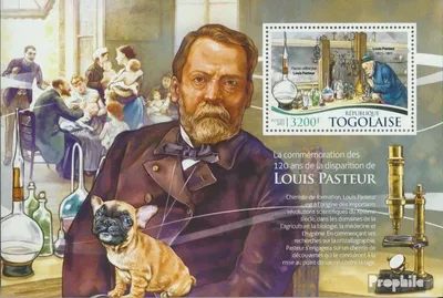 Produktbild von Briefmarken Togo 2015 Mi Block 1180 (kompl. Ausgabe) postfrisch Louis Pasteur