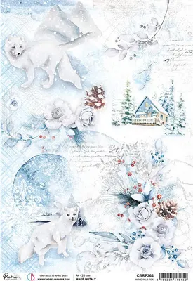 Immagine prodotto di Carta di riso per decoupage A4 - Ciao Bella - Volpe selvatica bianca