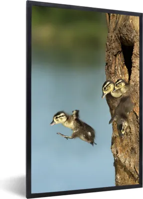 Produktbild von MuchoWow® MuchoWow® Gerahmtes Poster Vögel - Jung - Baum 60x90 cm - Poster mit zchwarzem Bilderrahmen - Kunst