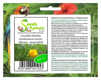Produktbild von 2x Cascabela thevetia Schellenbaum Garten Pflanzen - Samen B345