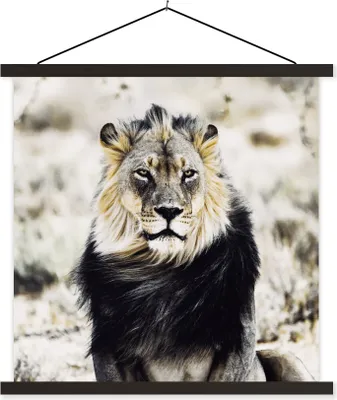 Produktbild von MuchoWow® Textilposter Wilde Tiere - Löwe - Schwarz 60x60 cm mit schwarzem Rahmen - Posteraufhänger