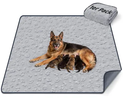 Imagen del producto de Almohadillas para orina - Almohadillas para cachorros - Alfombrillas absorbentes - Para mascotas - 90 x 60 cm - Material absorbente