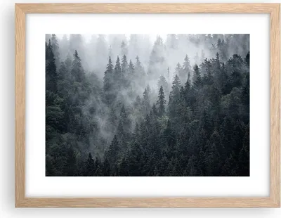 Produktbild von Gerahmtes Poster - Rahmen in heller Eiche - Wald Baum Natur - 40x30 cm - Wand Bild - Wanddeko - Wandbilder - Kunstposter - Wandposter - Bilderrahmen - Bilder - Kunstdruck - Wandbild - P2NAA40x30-4074