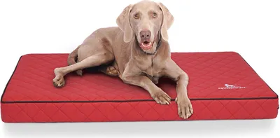 Produktbild von Knuffelwuff Orthopädische Hundematte Juna aus laser-gestepptem Kunstleder XXL 110x66cm Rot