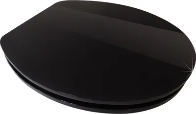 Produktbild von WC-Sitz High-Gloss Pure Black mit Absenkautomatik