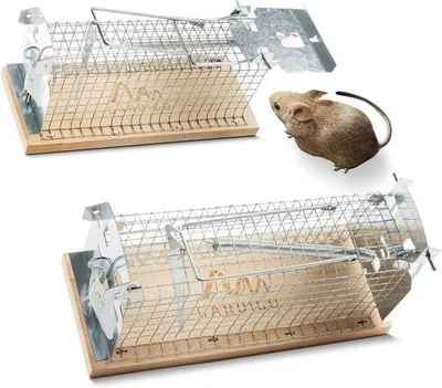 Produktbild von Famanu Humane Mausefalle - Wiederverwendbare Lebendfalle für Innen - 2 Stück