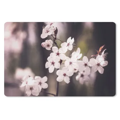 Produktbild von MuchoWow® Schreibtischunterlage Blumen - Weiß - Natur - Pflanze - Blüte 60x40 cm - XXL Mauspad - Großes Mauspad