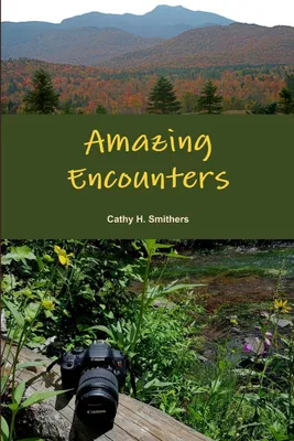 Produktbild von Amazing Encounters
