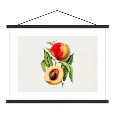 Produktbild von MuchoWow® Textilposter Pfirsich - Jahrgang - Obst 60x45 cm mit schwarzem Rahmen - Poster Schlafzimmer