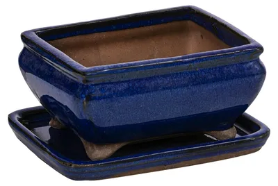 Produktbild von Dehner Bonsaischale, mit Untersetzer, rechteckig, ca. 15 x 6.5 x 11 cm, Keramik, blau