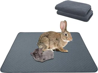 Produktbild von Famanu Trainingspads Set von 2 - 60 x 90 cm - waschbar - schnelltrocknend - absorbierend