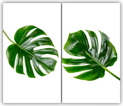 Produktbild von Tulup Glas-Herdabdeckplatte - 2x30x52cm - Glaskeramikkochfeld-Abdeckung Spritzschutz Zweiteilig Tropische Blätter