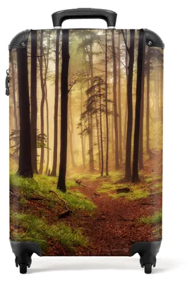 Obrázek produktu pro Lehká příruční zavazadla s kufrem a čtyřmi kolečky, rozměry 55 x 35 x 20 cm