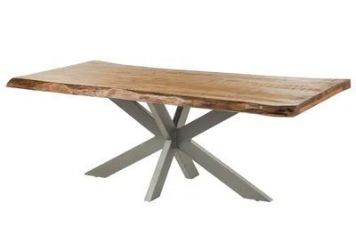 Image de MASSIVMOEBEL24 | Table à manger 200x100 en bois de manguier nature pied central gris FREEFORM 5