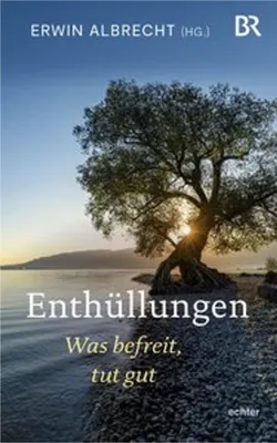 Produktbild von Enthüllungen