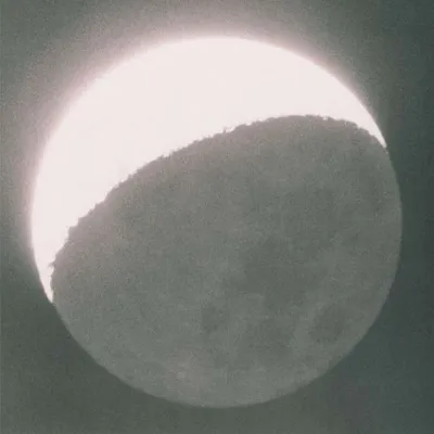 Obrázek produktu pro Wolfgang Tillmans: (Vinyl / Rock (Vinyl))
