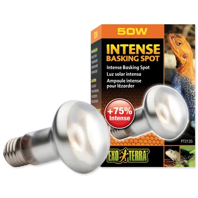 Image de Ampoule Exo Terra Intense Basking Spot 50W