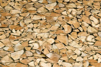 Produktbild von d-c-fix 346-0493, Entfernbar, Holz, 2000 mm, 450 mm