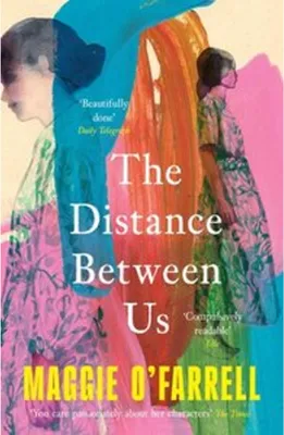 Imagen del producto de The Distance Between Us