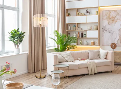 A modern living room with a sofa, shelves, and a floor lamp.