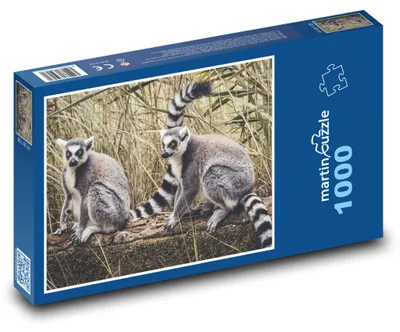 Zdjęcie produktu dla Puzzle 1000 Lemury na wolności - martinpuzzle