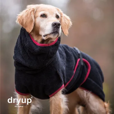 Produktbild von Dryup Cape black S (56cm)