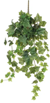 Produktbild von Mica Decorations Efeu hängende Kunstpflanze - H71 cm - Grün