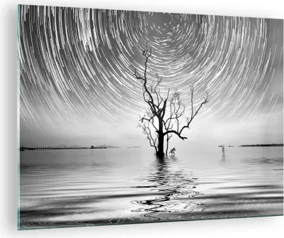 Produktbild von Bilder auf glas - Einteilig - Schwarzweiß Baum See - 70x50cm - Glasbilder - Wandbilder - Bilder - zum Aufhängen bereit - Wanddekoration aus Glas - Glas Bilder - Wandbild auf Glas - GAA70x50-4253