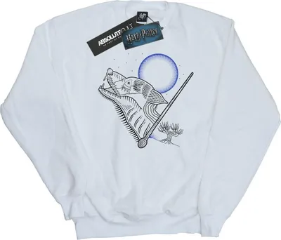 Produktbild von Harry Potter - Sweatshirt für Herren BI27852 (L) (Weiß)