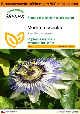 Obrázek produktu pro SAFLAX Garden in the bag - Modrá mučenka - Passiflora caerulea - 25 Semena - S pěstebním substrátem v praktickém samovztyčovacím sáčku