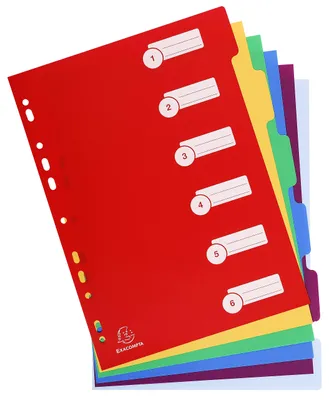 Imagen del producto de EXACOMPTA, carpeta de plástico, sin hojas, formato A4, de 6 compartimentos