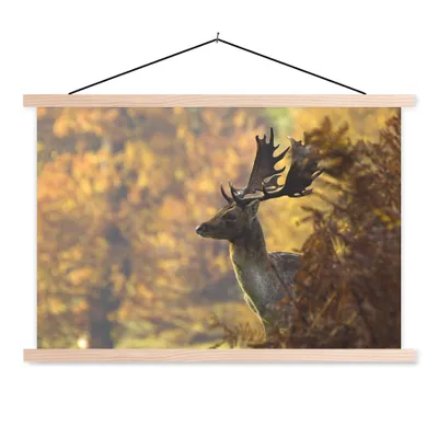 Produktbild von MuchoWow® Textilposter Hirsche - Geweihe - Herbst 60x40 cm mit holzfarbenen Rahmen - Bilder