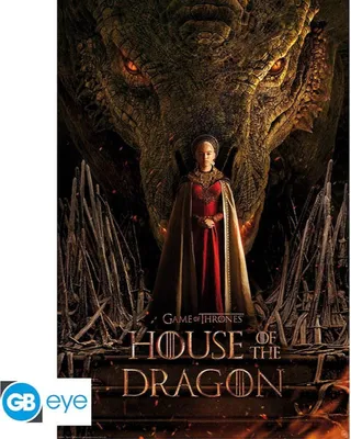 Produktbild von Das Drachenhaus – Poster 91 x 61 cm