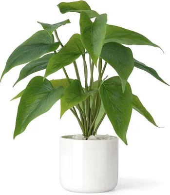 Image de Plante artificielle en pot en céramique - Décoration d'intérieur de 28 cm - Plante à feuilles vertes avec un pot moderne blanc, idéale pour la décoration de bureaux ou de salons