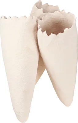 Produktbild von Deko Vasen Beige Keramik Kegelvasen Blumen Wohnzimmer