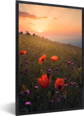 Produktbild von MuchoWow® Gerahmtes Poster Blumenfeld - Gras - Pflanzen - Sonnenuntergang - Orange 60x90 cm - Poster mit Schwarzem Bilderrahmen Wandposter Rahmen Foto Bilder - Kunst