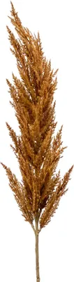 Produktbild von artplants.de Dekozweig Pampas Gras Rispe BATERNO, braun, 115cm - Kunst Pampasgras/Künstliches Pampasgras