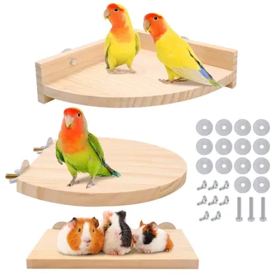 Productafbeelding van Set van 3 vogelplatforms, houten zitplankjes, geschikt voor parkieten en kleine dieren