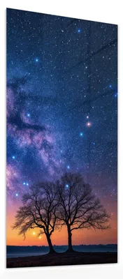 Produktbild von Glasbild 30x60cm in XXL für Wohnzimmer, Schlafzimmer Motiv Sternenhimmel Baum