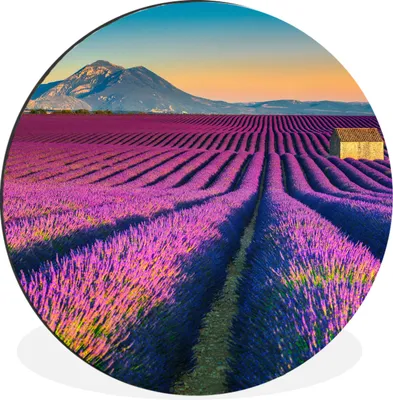 Produktbild von MuchoWow® Aluminium Wandkreis Lavendel - Berg - Blumen Ø 60 cm Wanddeko Modern Wohnzimmer - Wand Kreis - Wandbild - Schlafzimmer - Aluminium Bild - Kinderzimmer - Wohnzimmer Dekoration - Wandschmuck