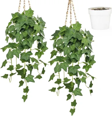 Obrázok produktu pre Sada umelých rastlín: 2 vetvy plazúcej sa brečtanu, výška 68 cm, 176 listov, vhodné do obývačky a na balkón