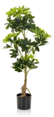 Produktbild von hjh OFFICE Kunstpflanze SCHEFFLERA Künstliche Pflanze Strahlenaralie Höhe 100.0 cm Deko