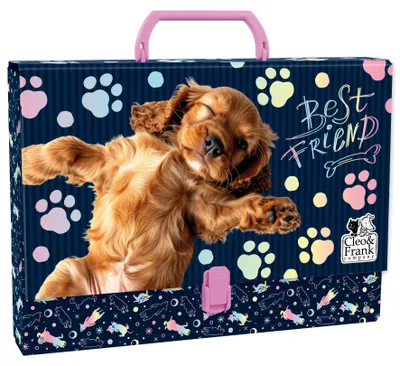 Produktbild von A4 Schulmappe mit Hundegriff DERFORM