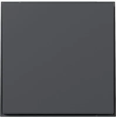 Obrázok produktu pre GIRA Wippe 349667 a TX44 anthr (349667)