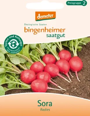 Produktbild von Bingenheimer Saatgut Radies Sora 1 Stück