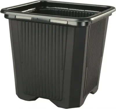 Zdjęcie produktu dla Doniczka plastikowa V 11x11x12cm
