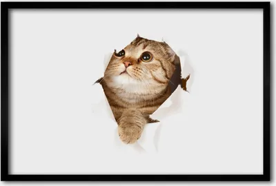 Produktbild von Bild 60x40 MDF-Rahmen, Wandkunst Katze