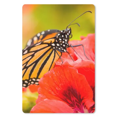 Produktbild von MuchoWow® Mauspad Mousepad Blumen - Schmetterlinge - Monarch 18x27 cm - Mousepads - Maus Mat - Pad - Mausunterlage